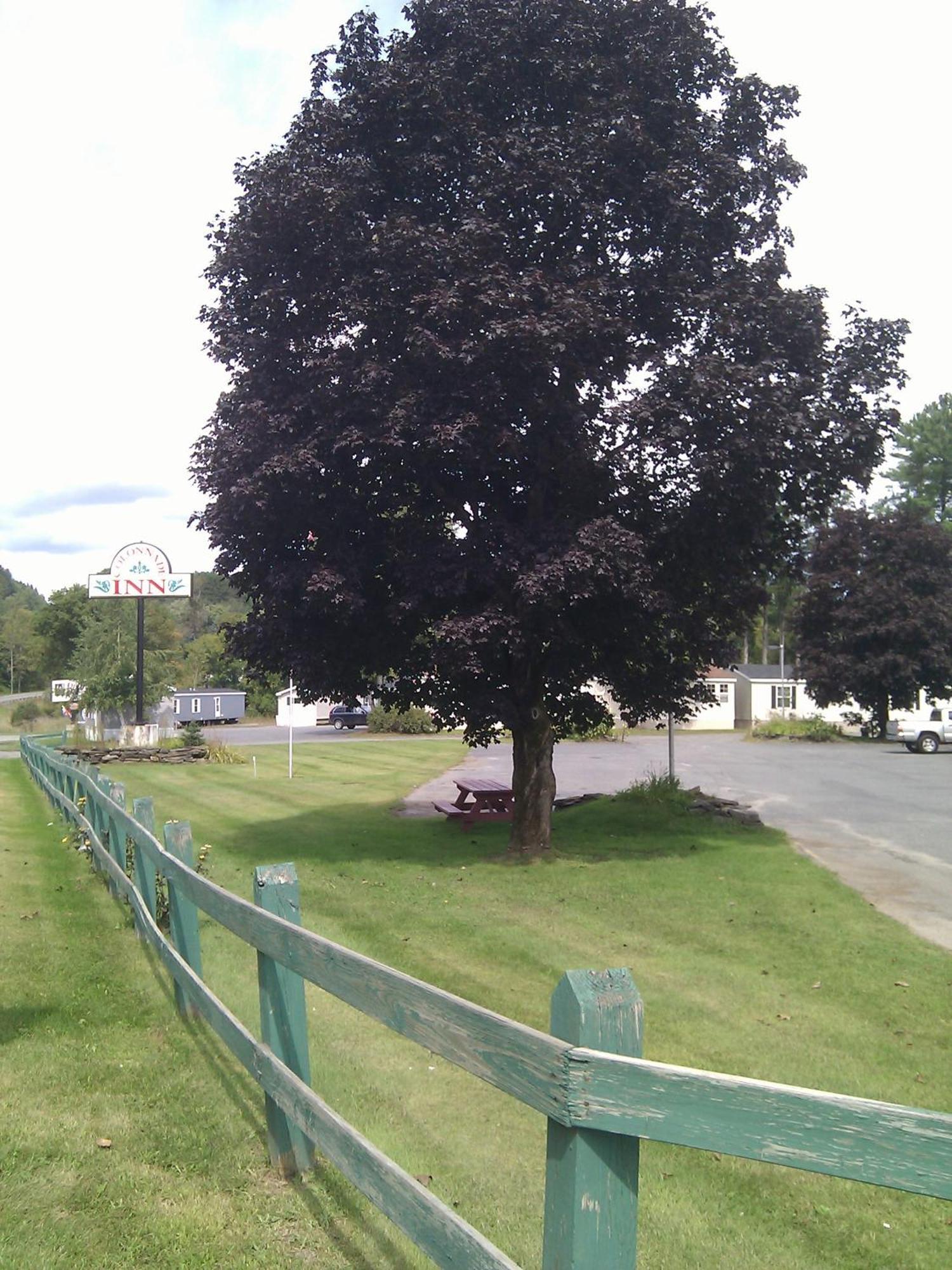 Colonnade Inn Lyndonville Kültér fotó